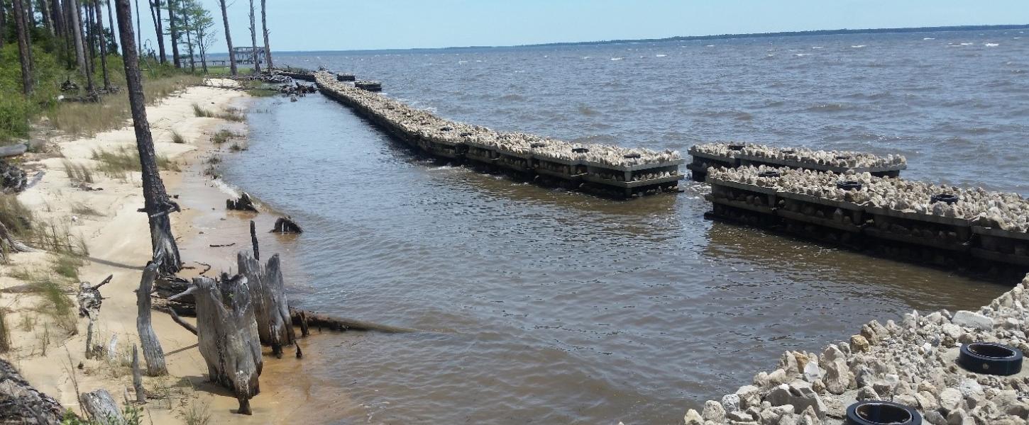 Shoreline Preservation at Yellow River Florida State Parks
